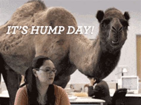 funny hump gif|hilarious hump day images.